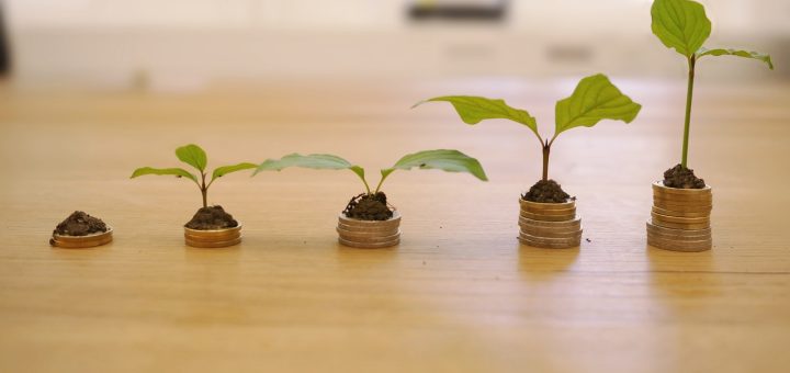 INVESTIMENTI AZIONARI: LEZIONI DALLA BCE